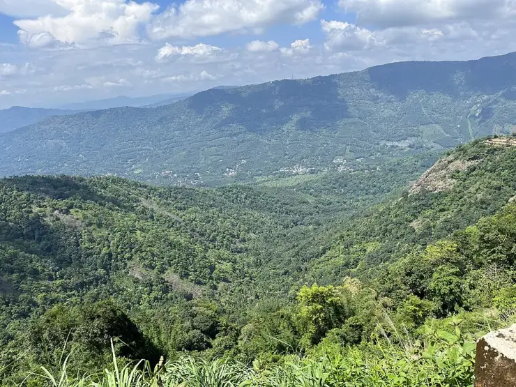 Deep green valley and layered ridges below a Vagamon hillside