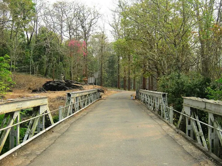 The metal-sided Karimpuzha bridge carries the road into trees at Nedumkayam.