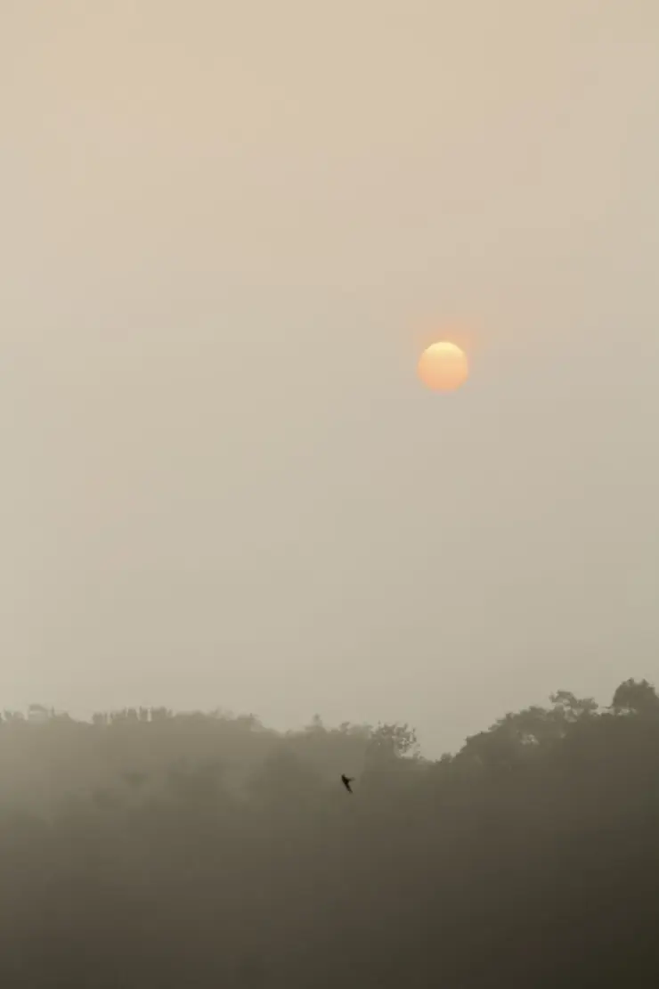 A pale orange sun appears through haze above dark tree silhouettes at Kurumbalakotta.