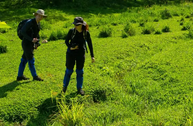 Two walkers wearing hats, backpacks and blue leech socks pause in sunlit grass at Periyar.