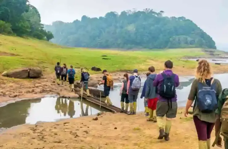 Walkers cross a narrow wooden plank above water at the edge of the lake.
