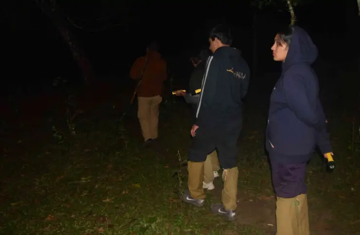 A group carrying torches follows an armed guide along a leaf-covered forest path at night.