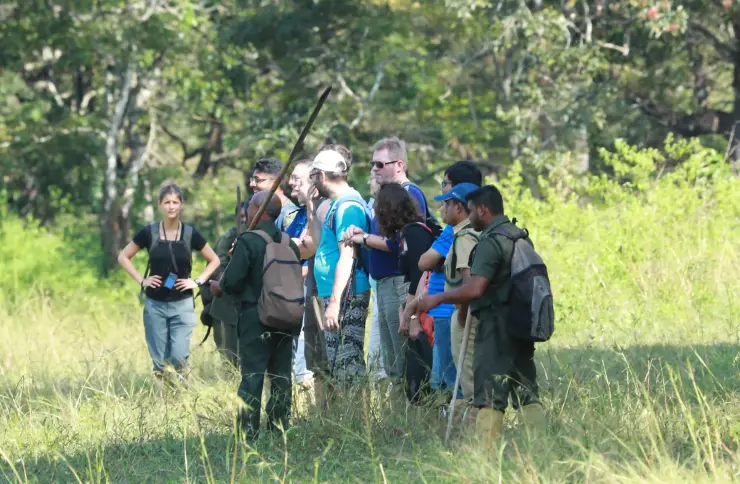 A walking group pauses in grass beside a guide holding a walking stick, with dense forest behind.