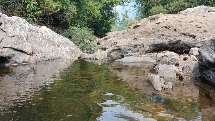 Green water lies between pale rounded rocks and dense vegetation near Urakkuzhi