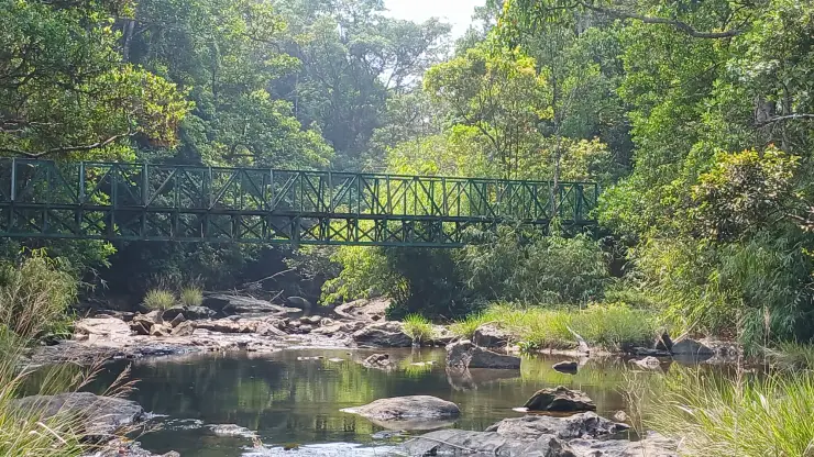 A green metal footbridge crosses a rocky forest stream in the Kakkayam area