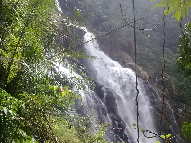 Meenmutty’s rock face and forest gorge