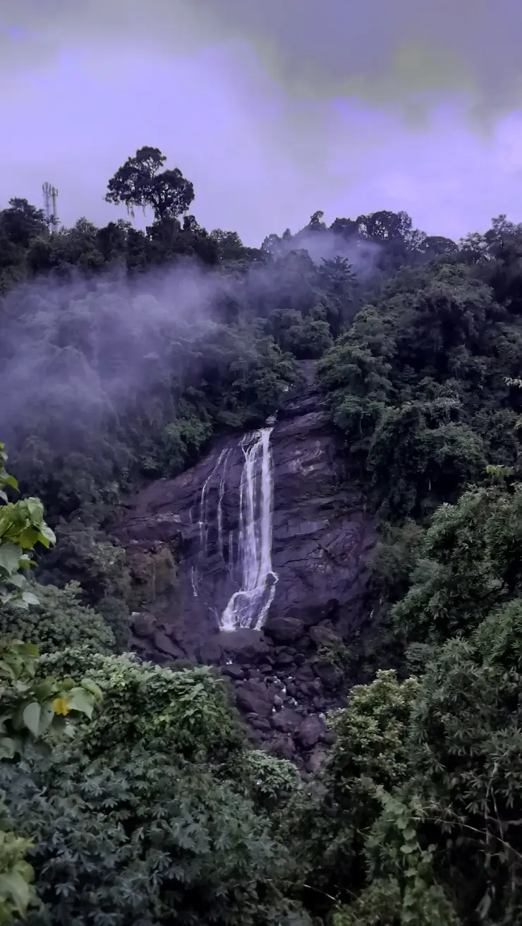 Valara seen through forest and spray in a June 2026 photograph.