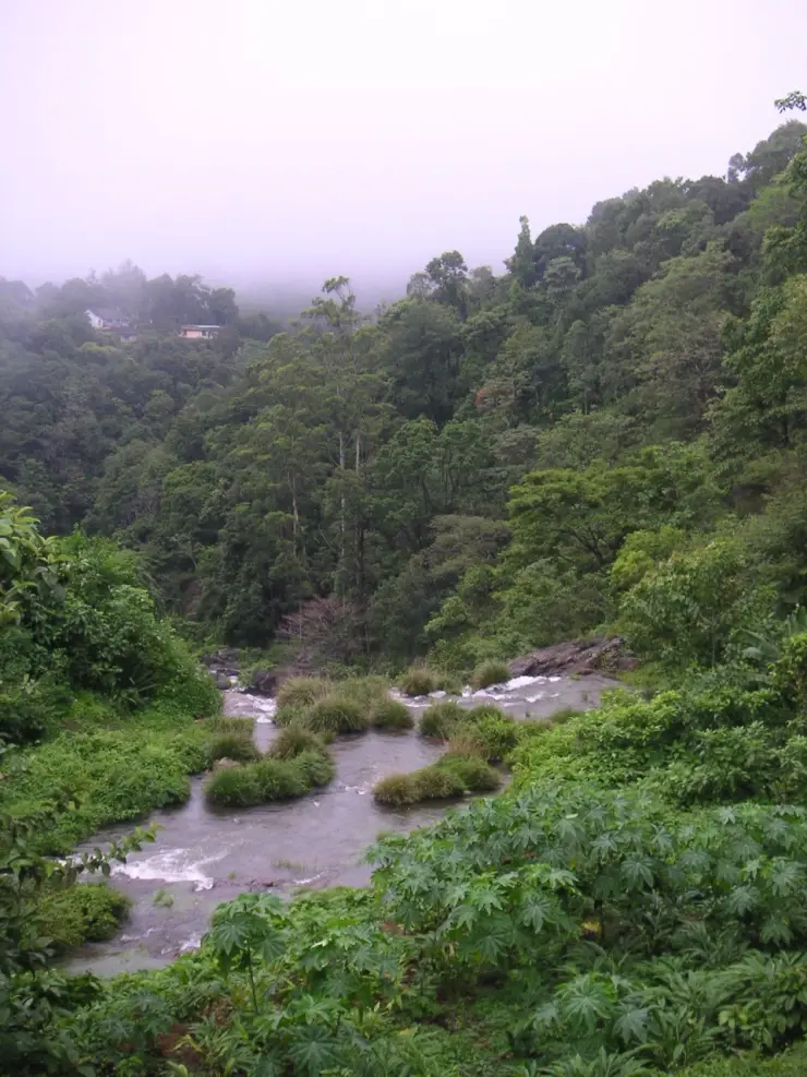 A rocky stream below wooded slopes and hillside homes in Peermade.