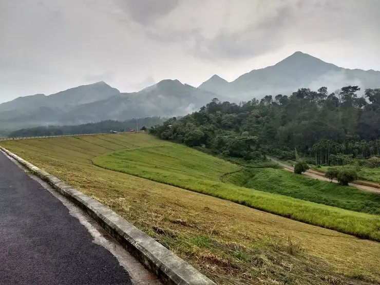 Wayanad travel guide