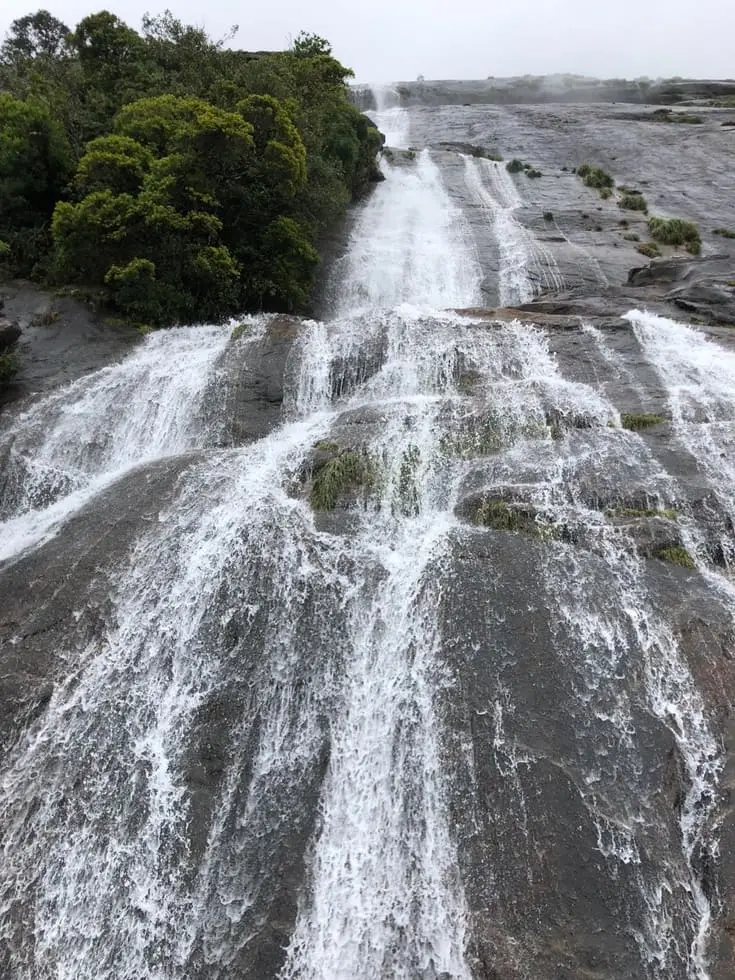 Eravikulam National Park near Munnar