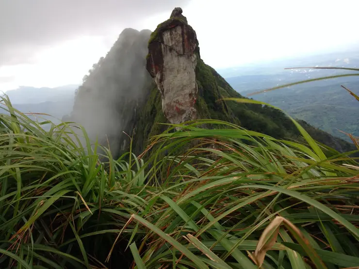 The knife-edge ridge of Illikkal Kallu, Kottayam