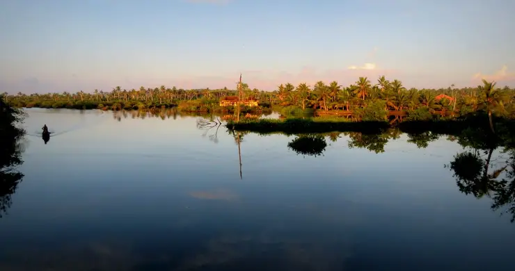 Canals and coconut palms on Munroe Island, Kollam