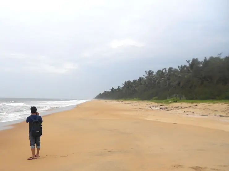 Palm-lined Valiyaparamba backwaters, Kasaragod