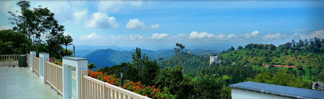View or property photograph from Chandy's Windy Woods