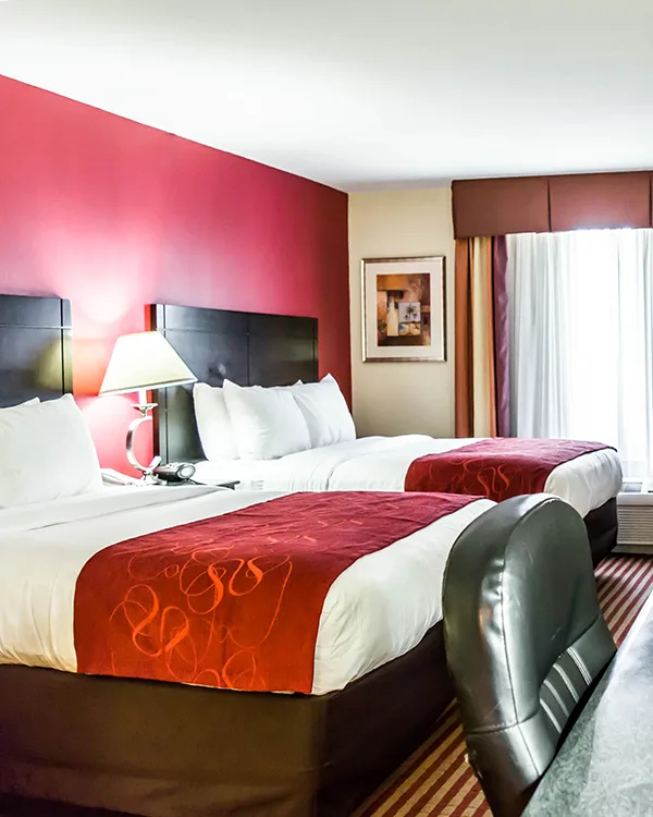 Deluxe Non AC Rooms