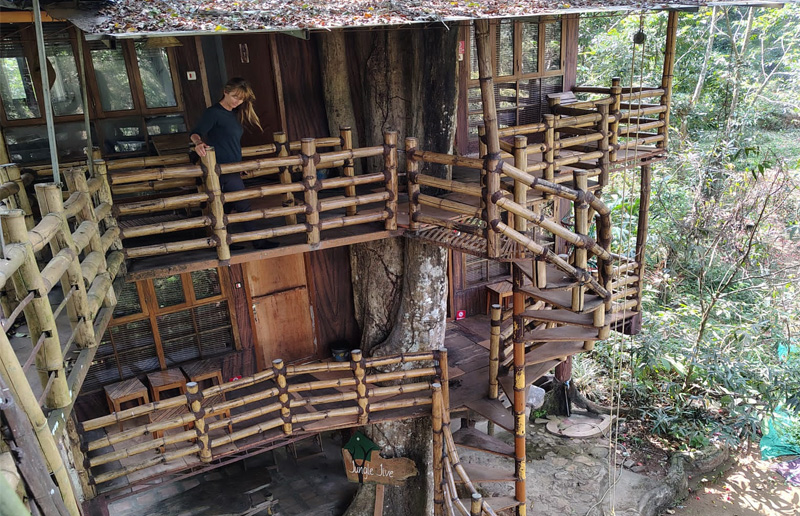 Jungle Jive Tree House Munnar