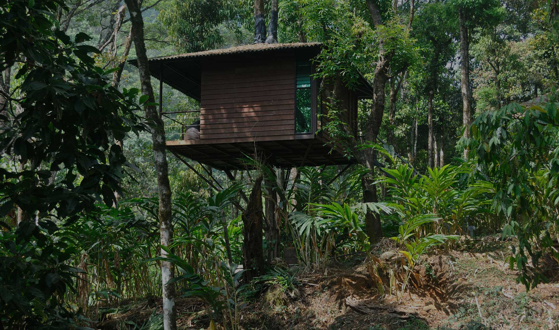 LanternStay Meppadi, Meppadi