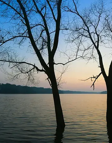 Backwaters