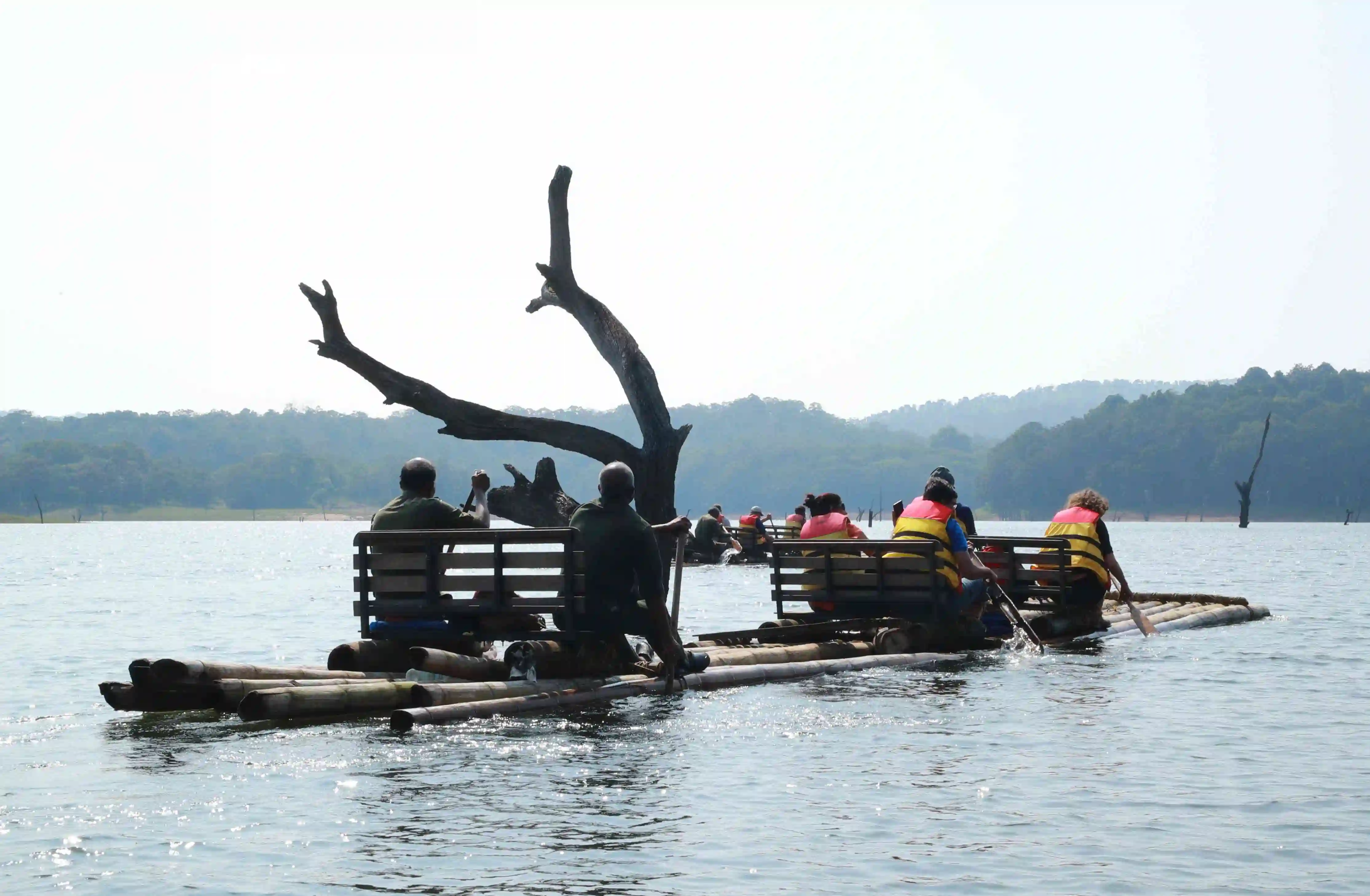 Guided bamboo rafting on Periyar Lake.