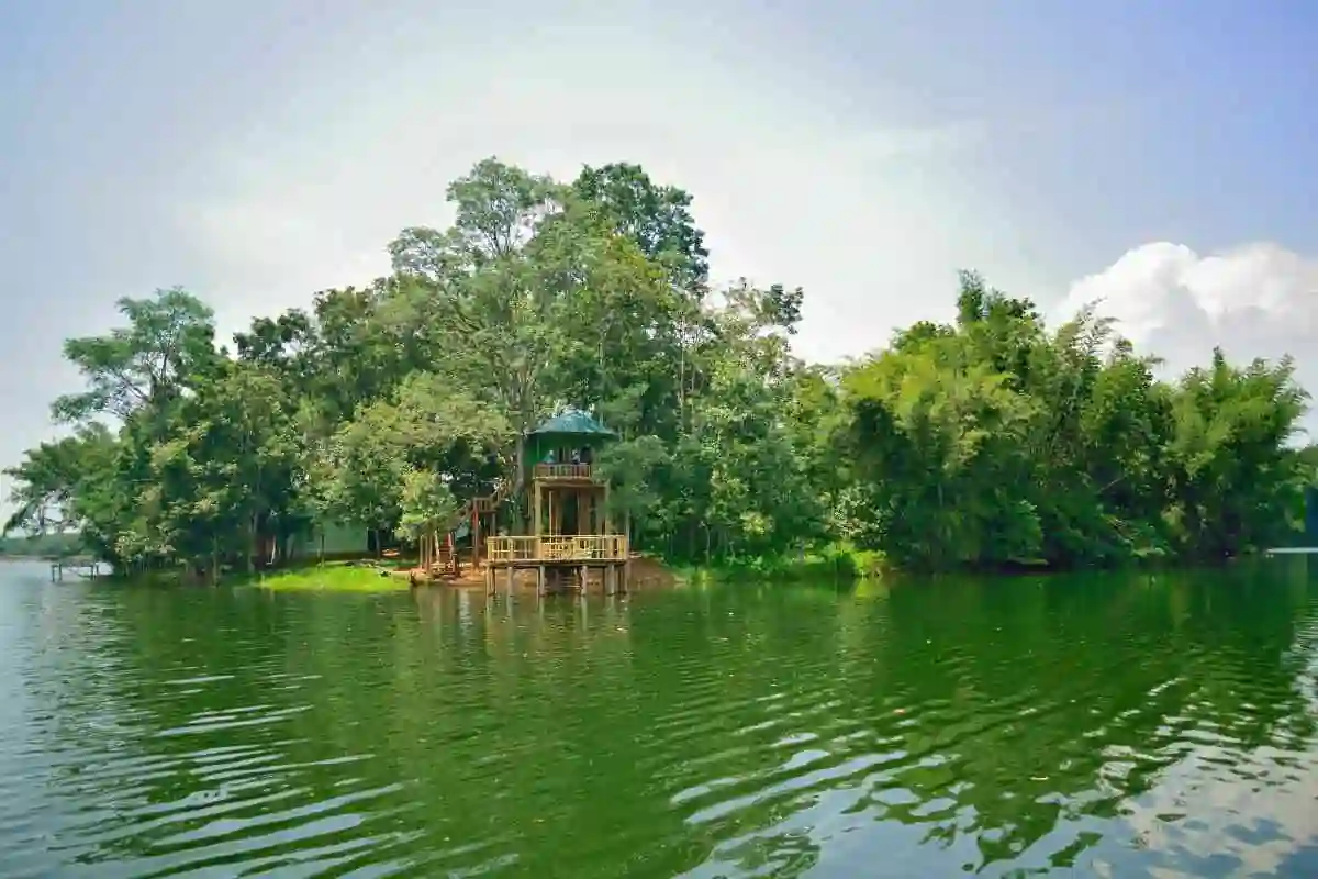 The published Peruvari Island Nest photograph shows a green-roofed elevated wooden stay on a wooded island