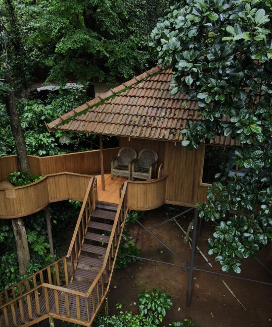 Planet Green’s pillar-supported wooden treehouse with staircase; operator-published 550-pixel-wide image.