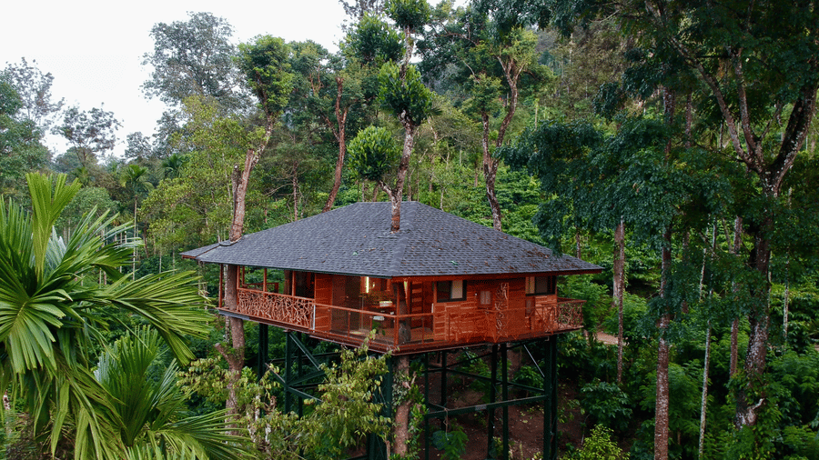 Raised timber accommodation at Tranquil Resort; confirm the named room category with the property.