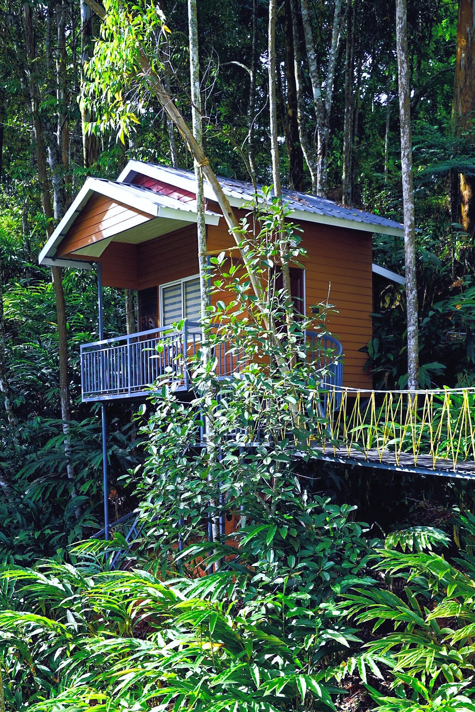 Eucalyptus Resort’s published Tree House accommodation and raised approach; confirm the exact booked category and access.
