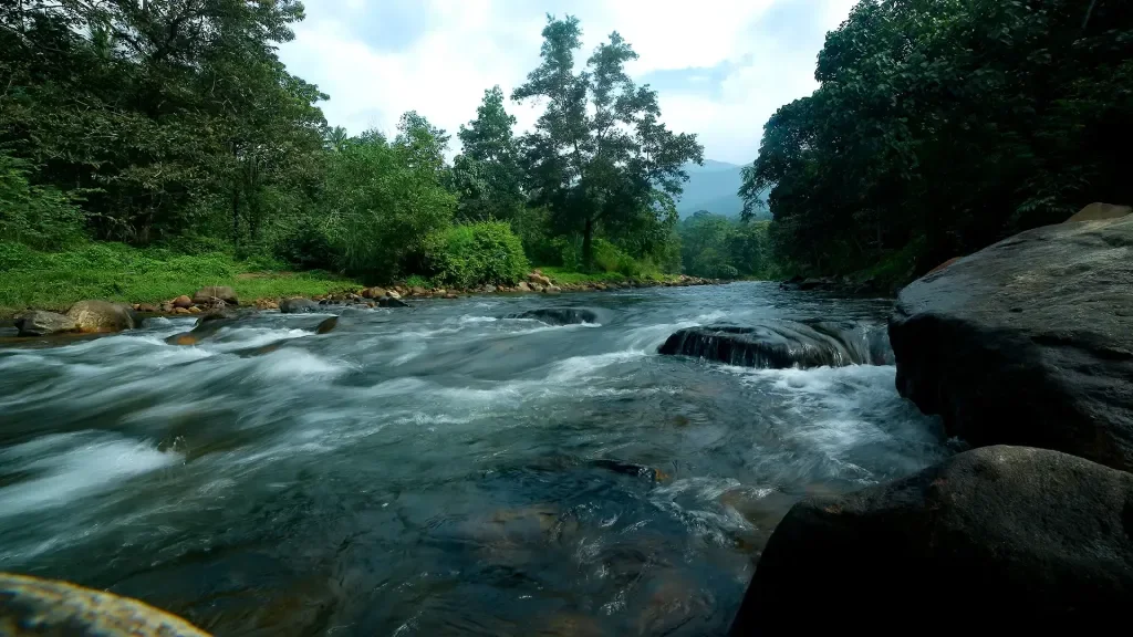 Property or offering photograph published for ponmudi kallar meenmutty trek support, kallar meenmutty kerala tourism