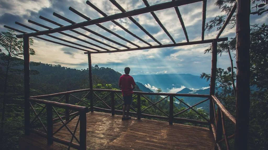 Property or offering photograph published for after the rains rainforest lodge meppadi
