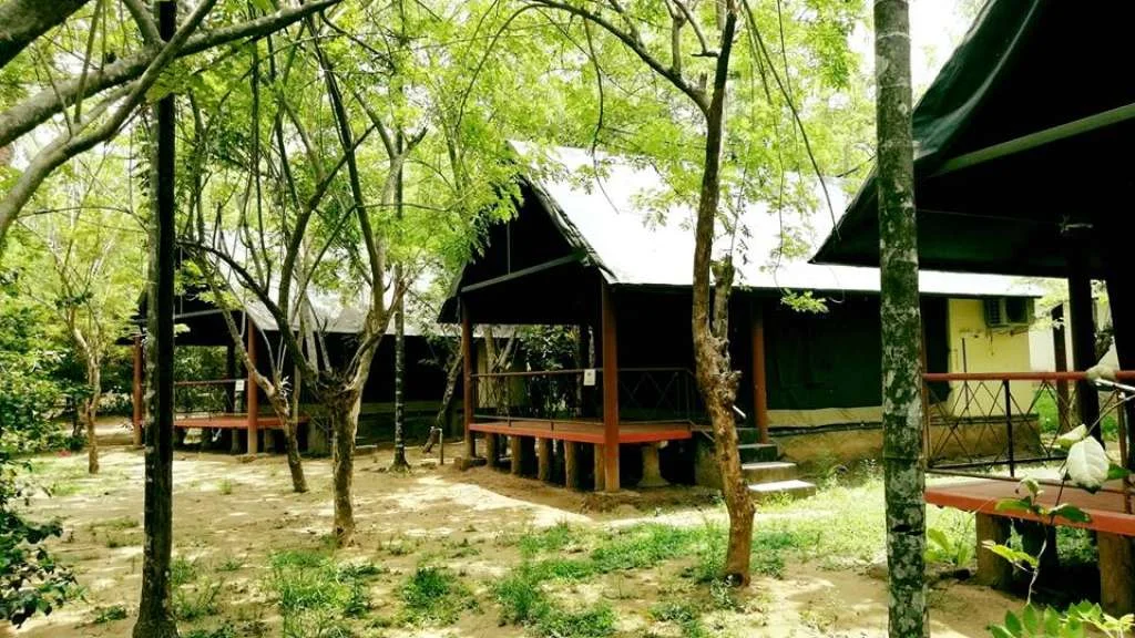 Hornbill Camp Thattekkad, Thattekkad