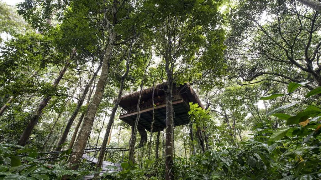 Property or offering photograph published for pepper trail wayanad
