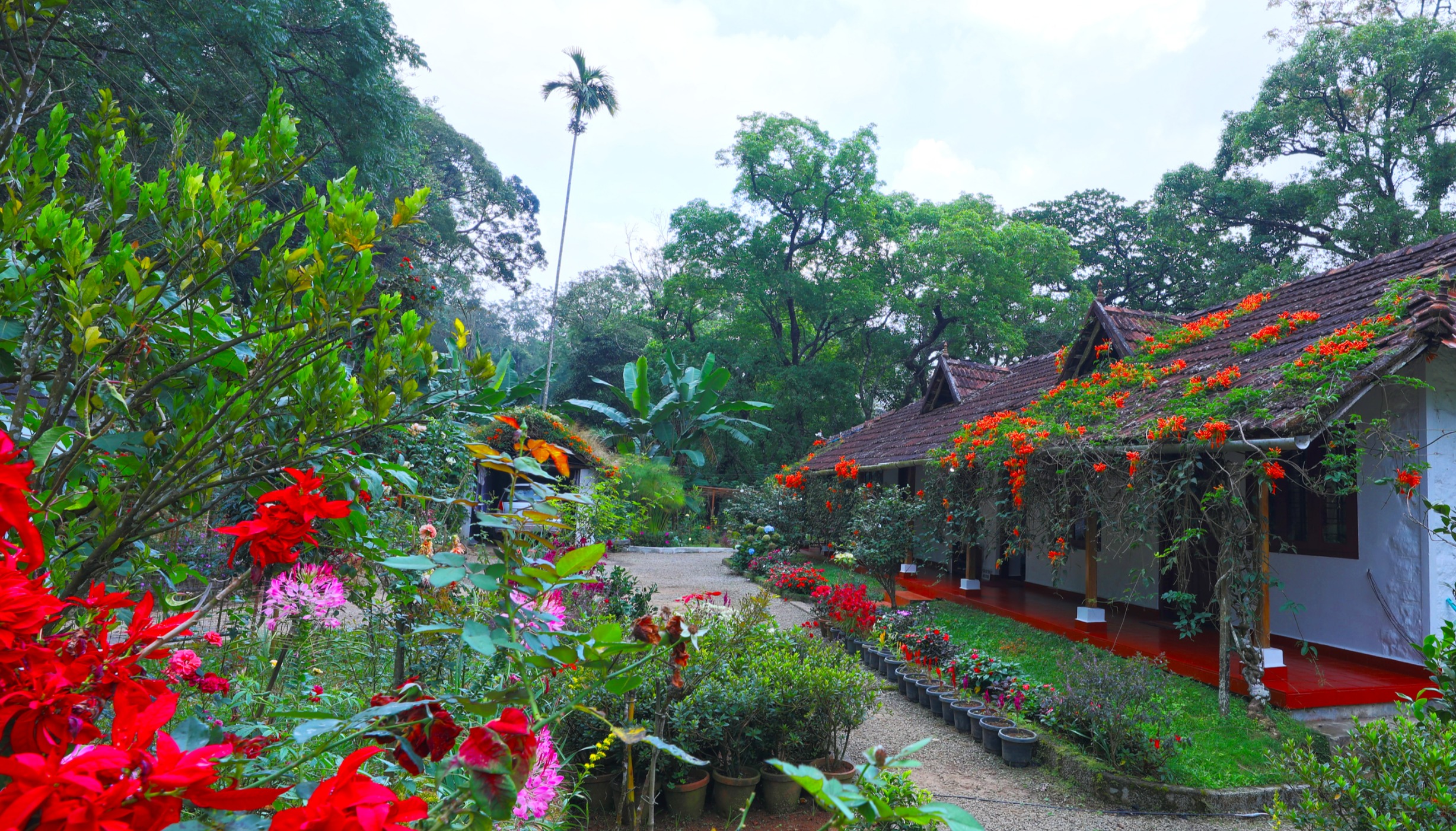 Rose Gardens homestay building, red veranda and flowering garden