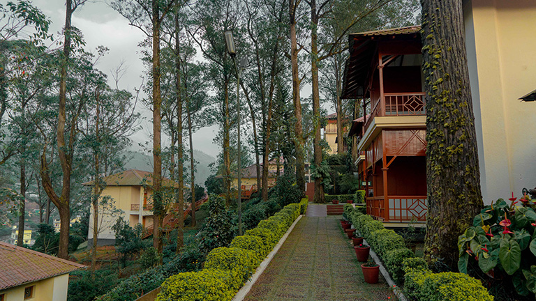 Tea County accommodation buildings and their garden walkway in Munnar