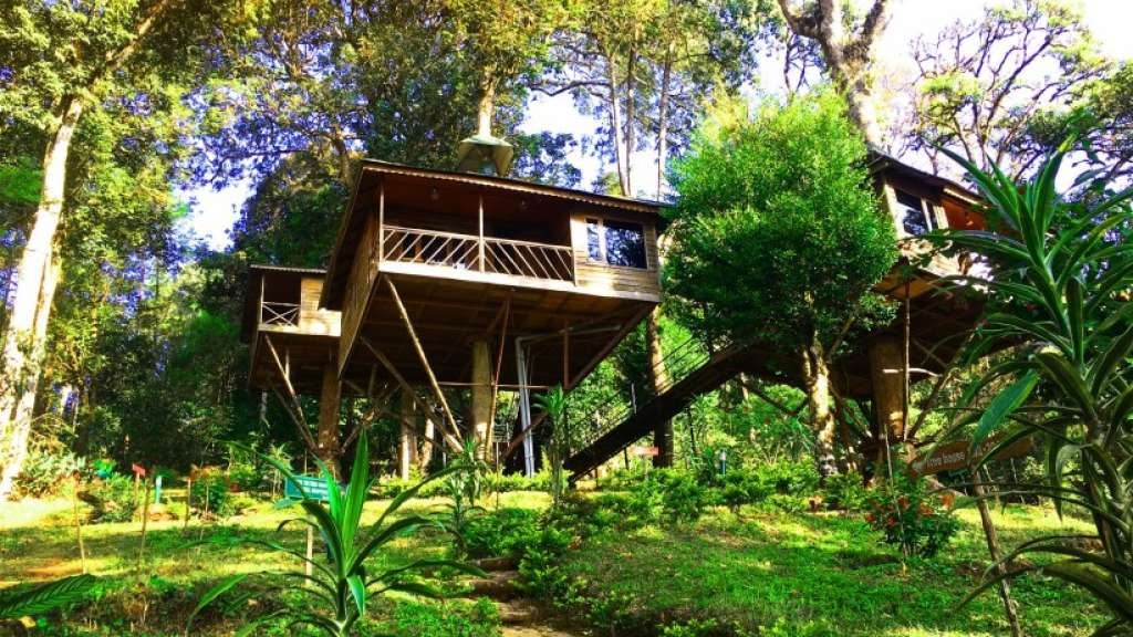 Nature Zone Jungle Resort property or offering, as published by its operator; confirm present condition directly.