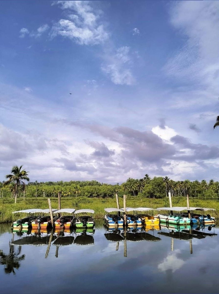Poovar Noah Backwater Cruise property or offering, as published by its operator; confirm present condition directly.