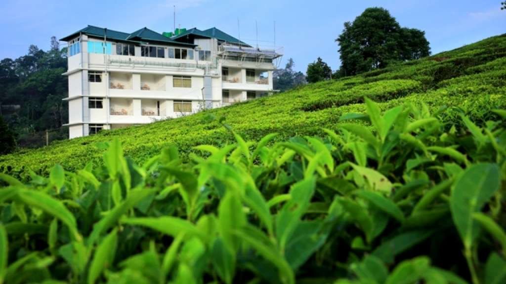 Monsoon Grande Resort property or offering in its Kerala Tourism listing; confirm present condition and the exact room directly.