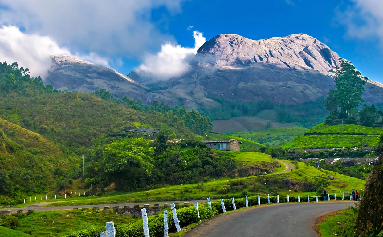 Anamudi seen beyond the cultivated landscape from the Nayamakad road.
