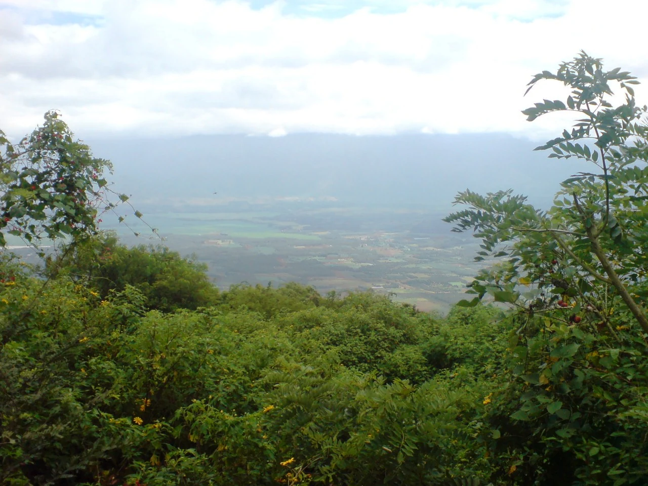 Dense vegetation at Chellarkovil frames a hazy view of the cultivated plains and distant mountains.