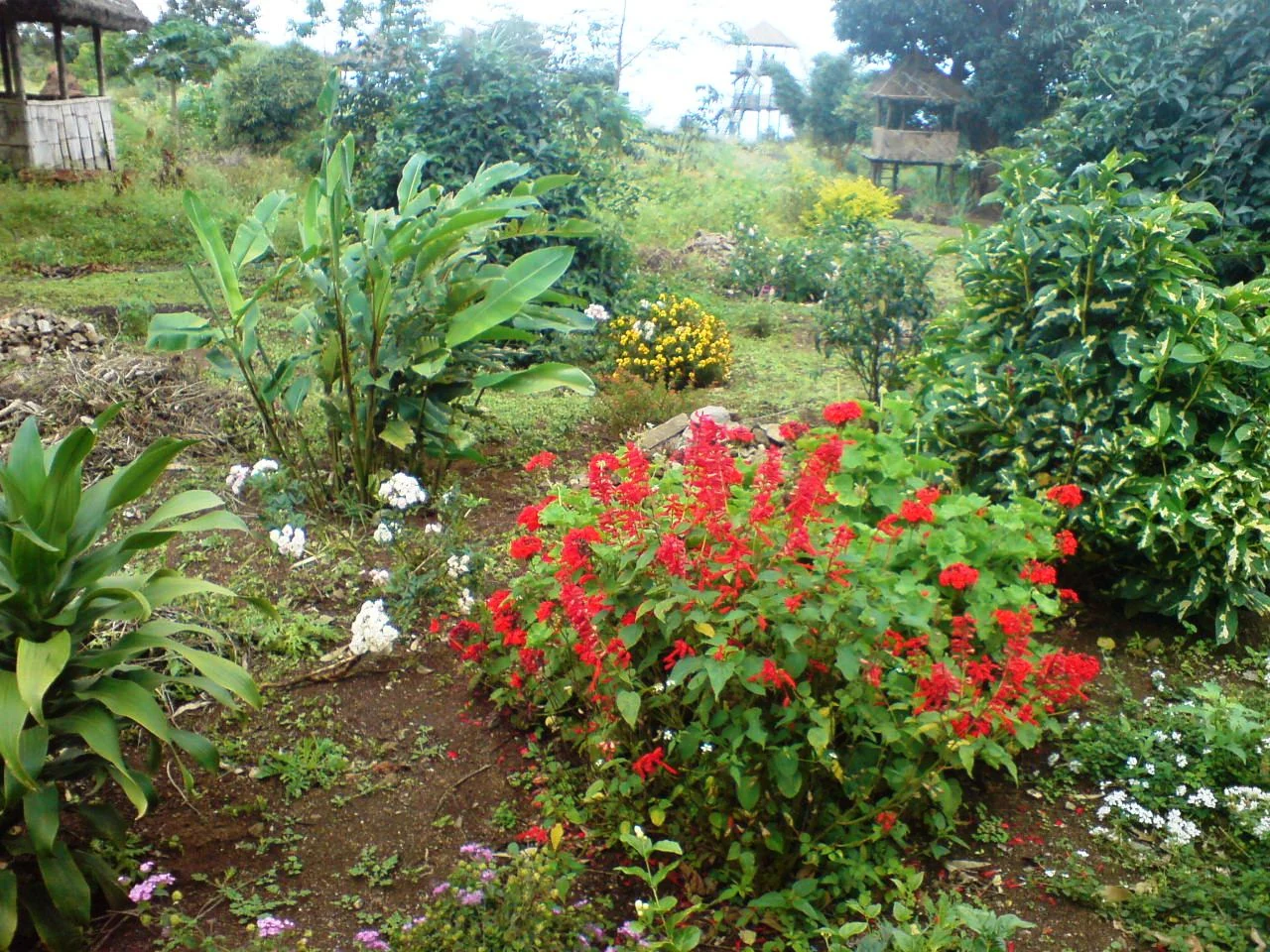 Planted garden paths and shelters below the watchtower at Chellarkovil.