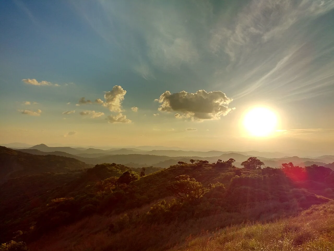 Low sun above successive wooded ridges in the Mathikettan Shola landscape; this is a forest view, not a photograph of the newly described plants.