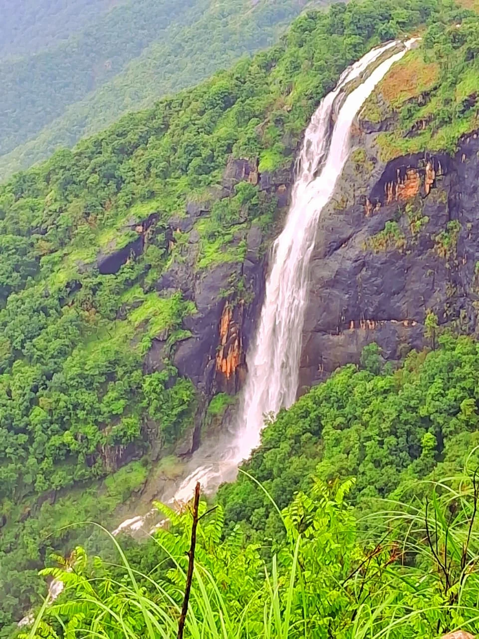 White water descends through dark rock and dense vegetation on the Chellarkovil slope.