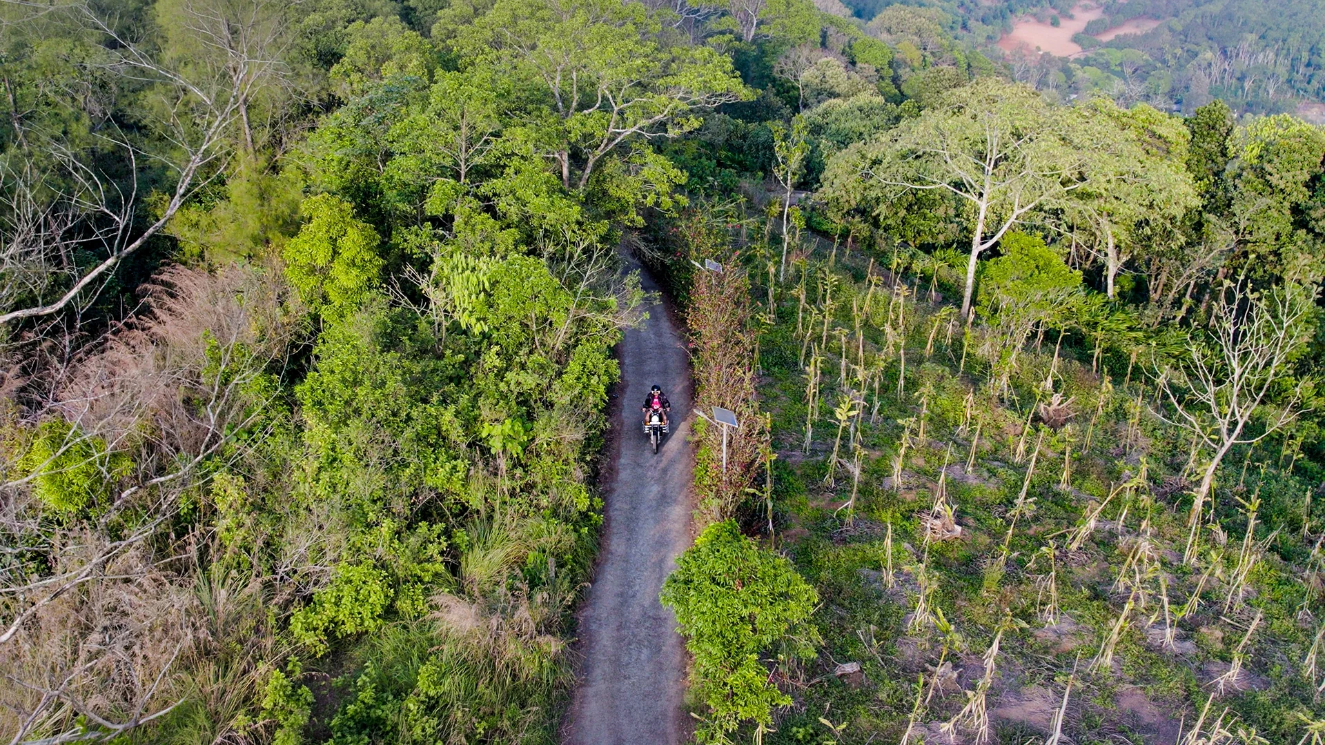 A narrow paved lane between tall trees and ordered planting at Murikkady, with a person and motorcycle.