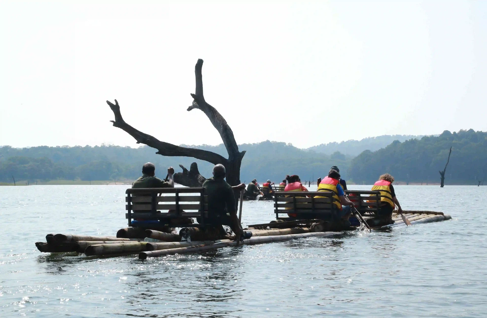 Life-jacketed passengers seated on a bamboo raft beside a forked standing trunk at Periyar.
