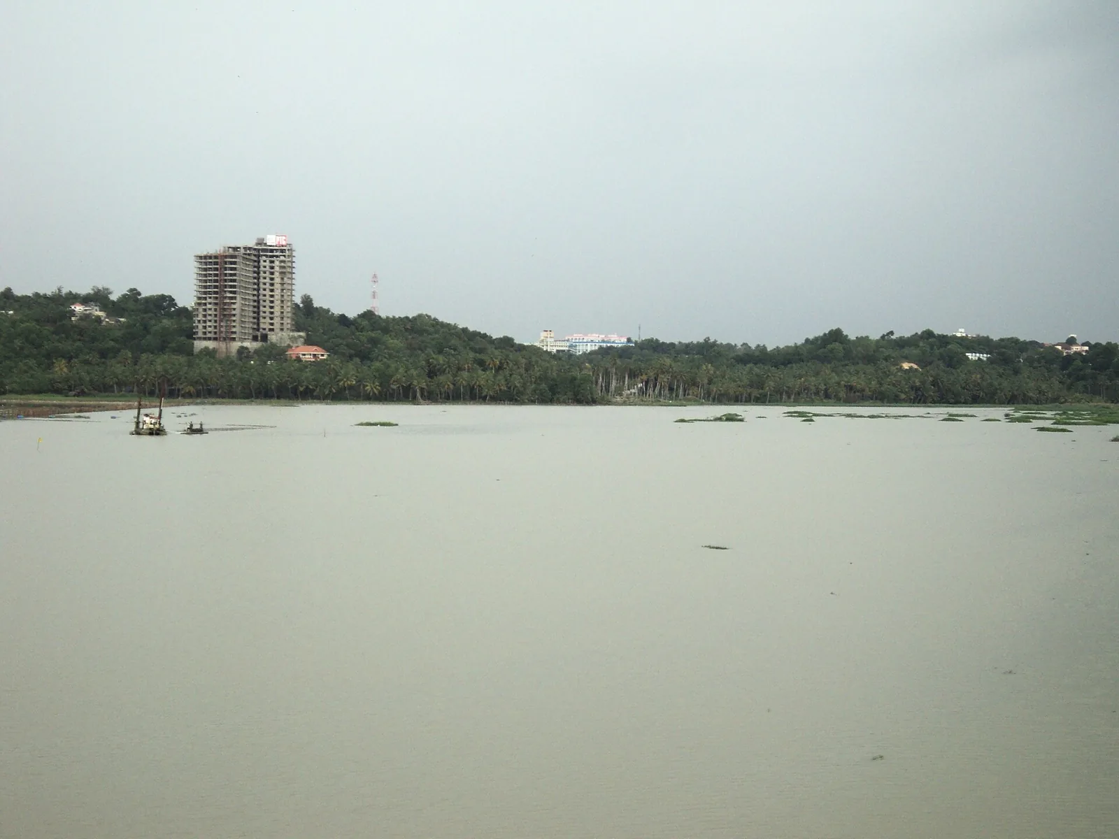 Akkulam Lake under a grey sky, with water weed and buildings on the far shore