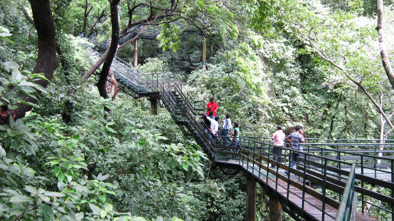 A steel walkway and staircase on tall stilts zig-zagging through dense green forest canopy at Thenmala, with about eight visitors in ordinary clothes standing and climbing along it.