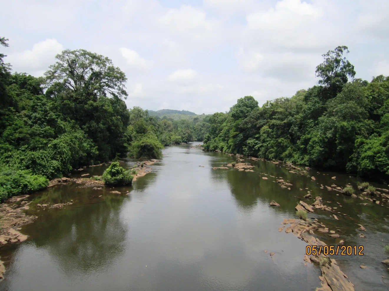 The Chalakudy river running between closed riverine forest in the Vazhachal division above Athirappilly