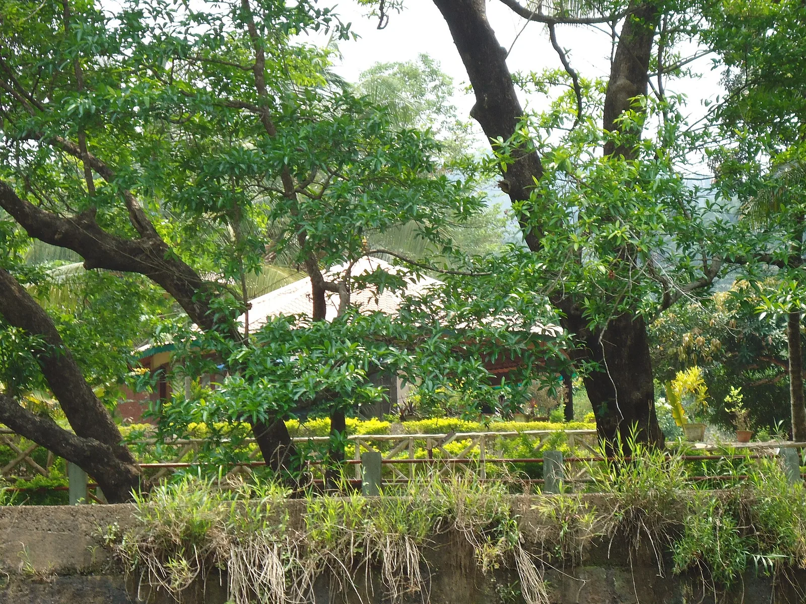 Prakriti Gramam nature village at Ezhattumugham
