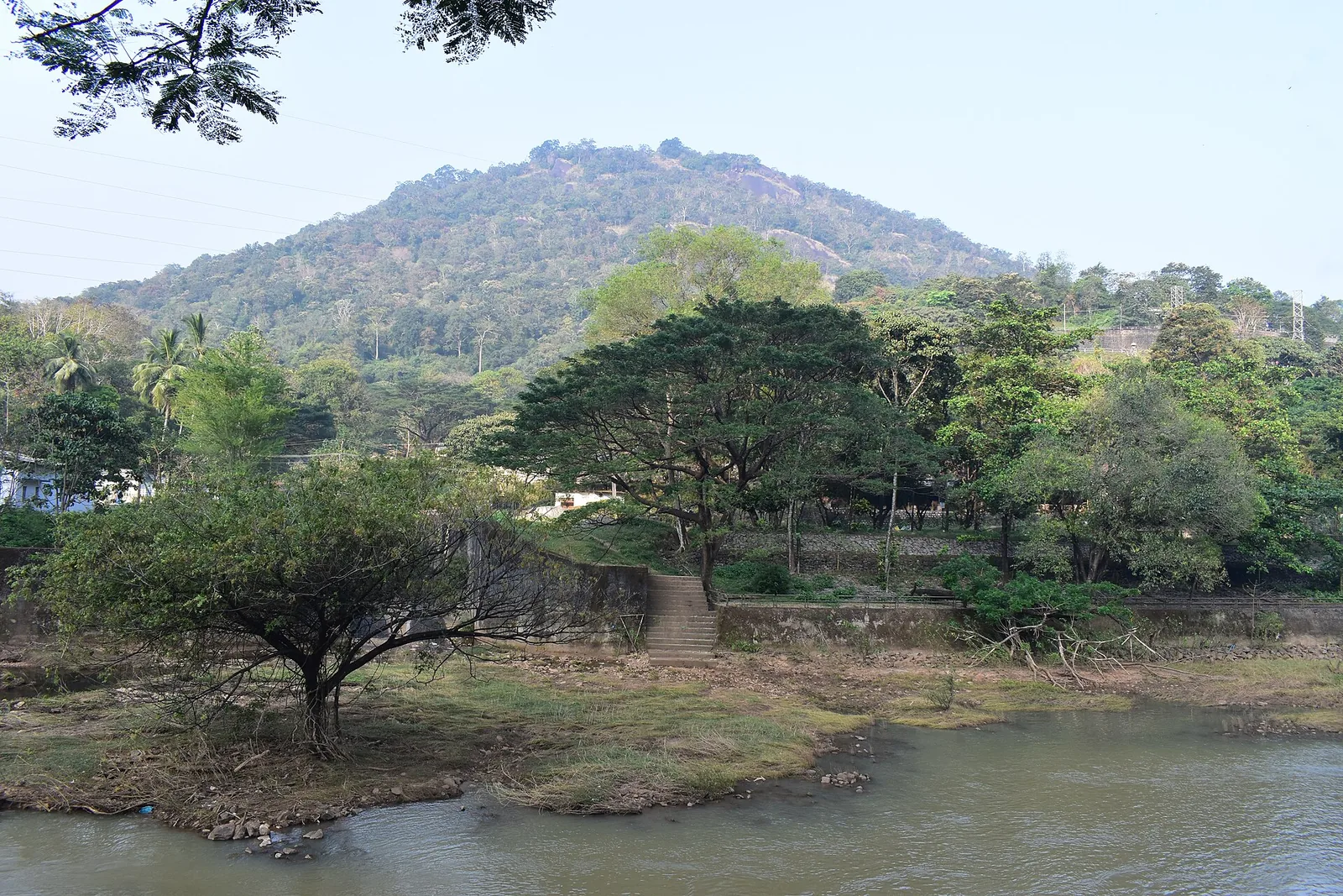 Thenmala Ecotourism Official