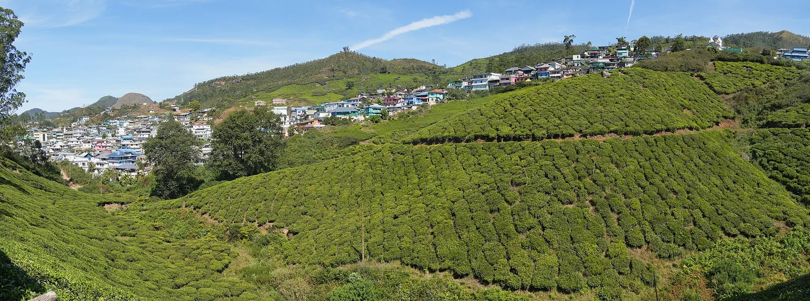 Tea plantations around Munnar, Idukki