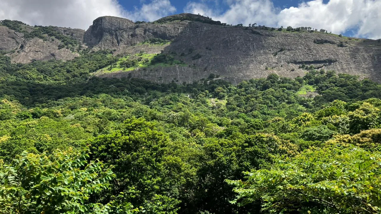The Palakkad Gap through the Western Ghats